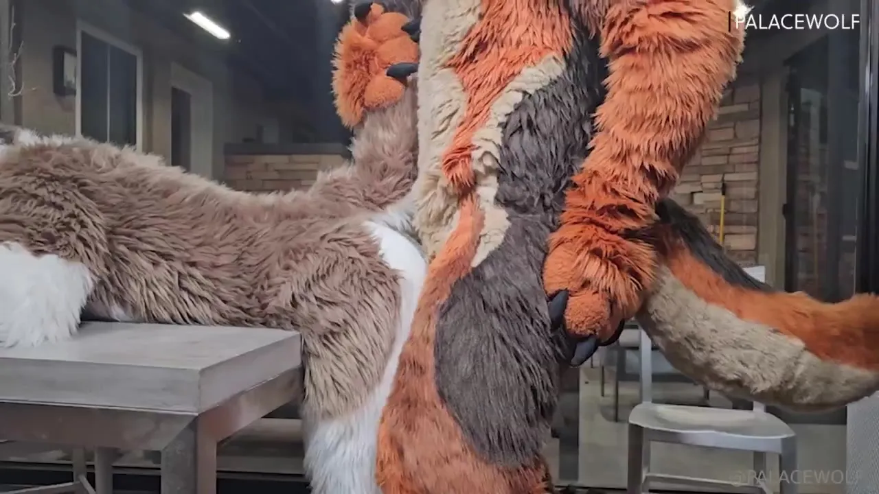 Palacewolf pounds the furry suiter over the kitchen counter, then flips them onto the steel table