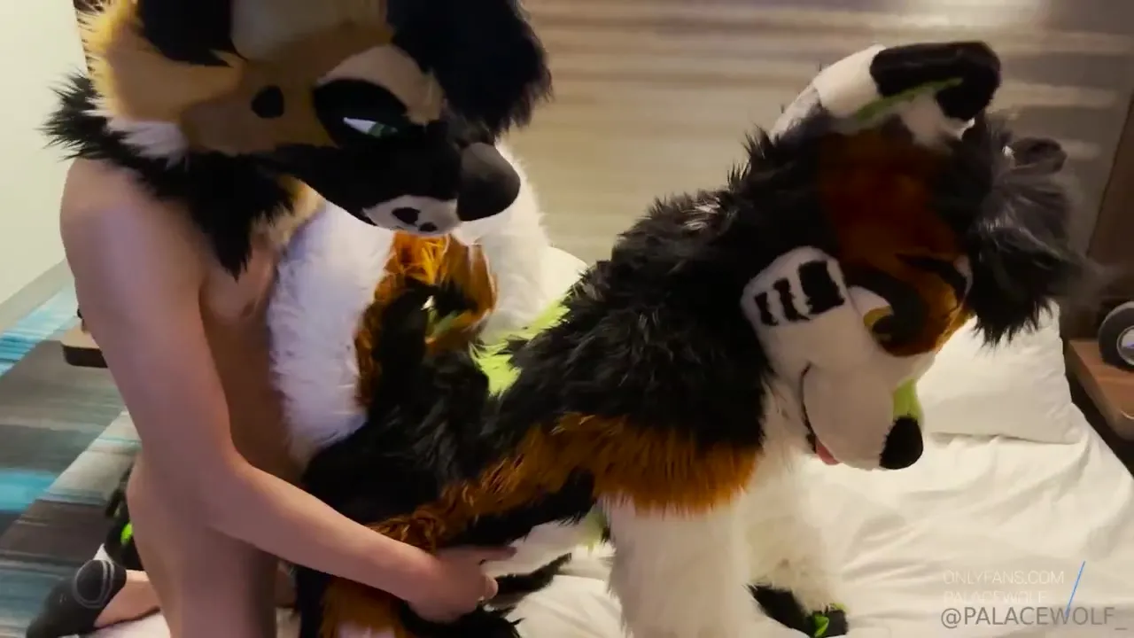 Cold evening, Palacewolf rams his needy furry partner doggystyle on the hotel sheets