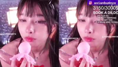 Pounding the pink toy in pigtails, AsianBunnyX deepthroats it hungrily