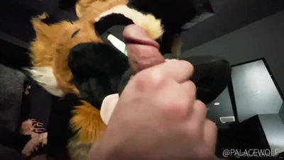 In a dim room, PalaceWolf pumps his cock beneath a furry wolf head